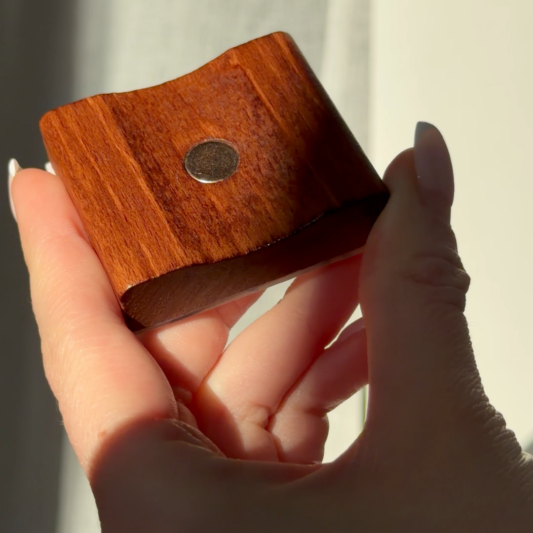 Calzascarpe magnetico